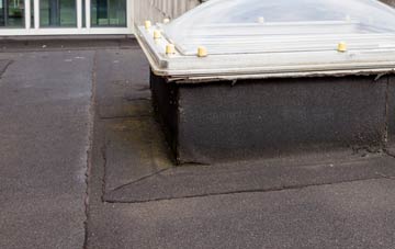 disadvantages of Sallachy flat roofs